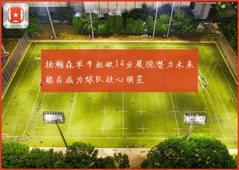 杨瀚森单节狂砍14分展现潜力未来能否成为球队核心明星