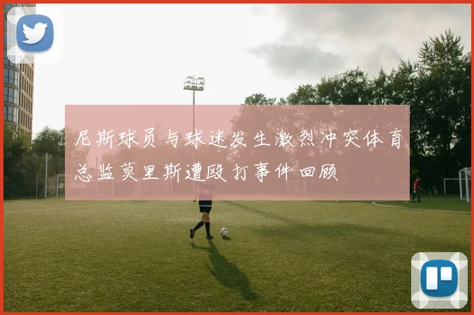 尼斯球员与球迷发生激烈冲突体育总监莫里斯遭殴打事件回顾