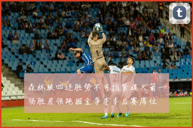 森林狼四连胜势不可挡紧追火箭一场胜差领跑掘金争夺季后赛席位