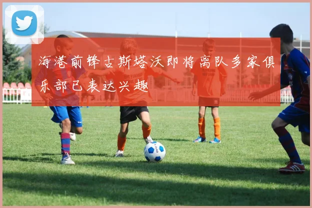 海港前锋古斯塔沃即将离队多家俱乐部已表达兴趣
