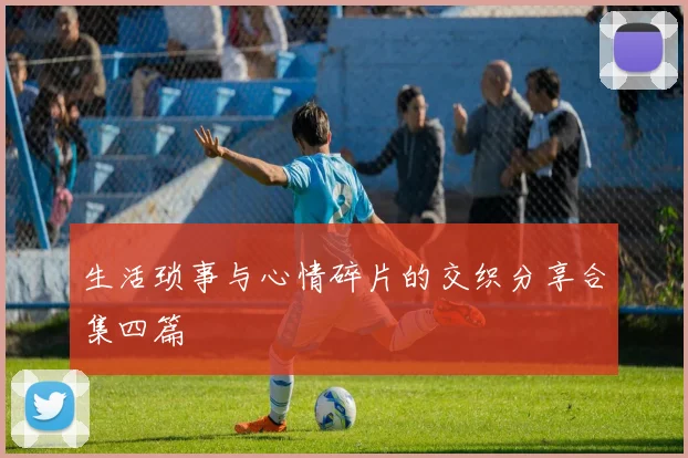生活琐事与心情碎片的交织分享合集四篇