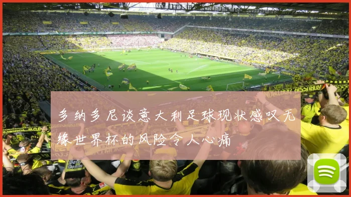 多纳多尼谈意大利足球现状感叹无缘世界杯的风险令人心痛